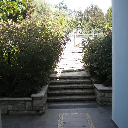 Magia